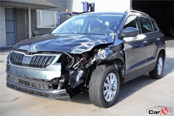 SKODA KAROQ 2020 tmbjp7nu5l5010342