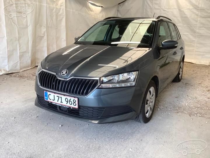 SKODA FABIA 2019 tmbjr6nj9kz145051