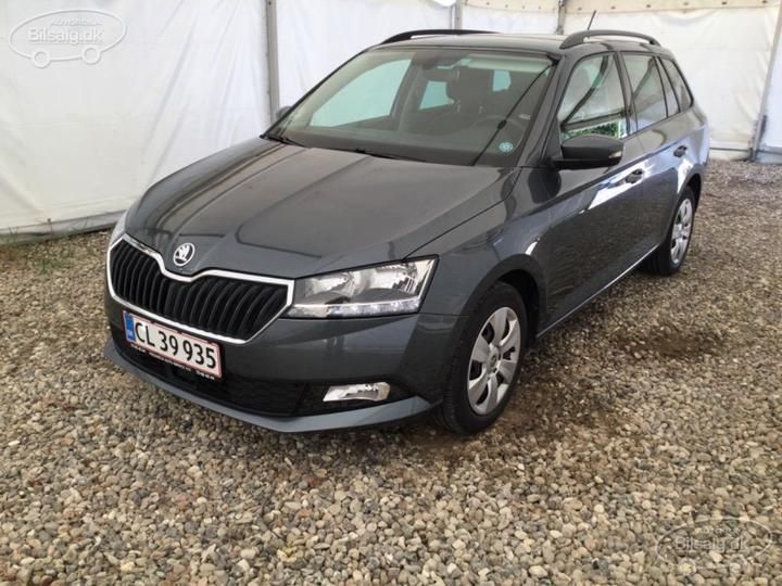 SKODA FABIA 2019 tmbjr6nj9kz150735