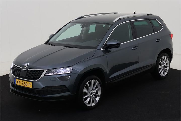 SKODA KAROQ 2019 tmbjr7nu0kj007557