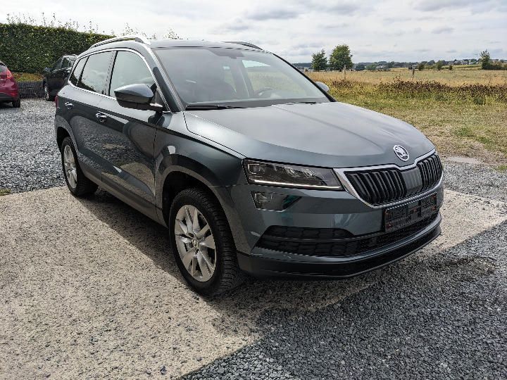 SKODA KAROQ 2018 tmbjr7nu3j2029268