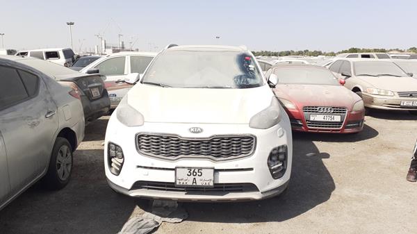 KIA SPORTAGE 2016 u5ypk81c4gl019338