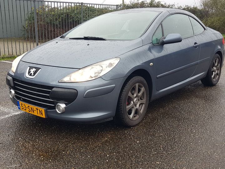 PEUGEOT 307 CC 2006 vf33brfjc84340256