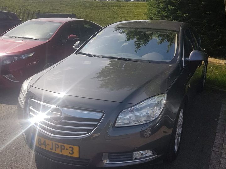 OPEL INSIGNIA 2009 w0lgt57b991079670