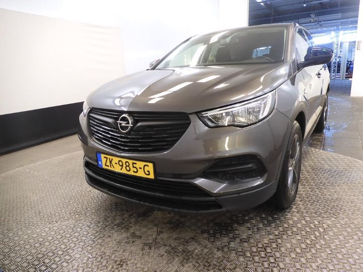 OPEL GRANDLAND X 2019 w0vzrhnsxks249585