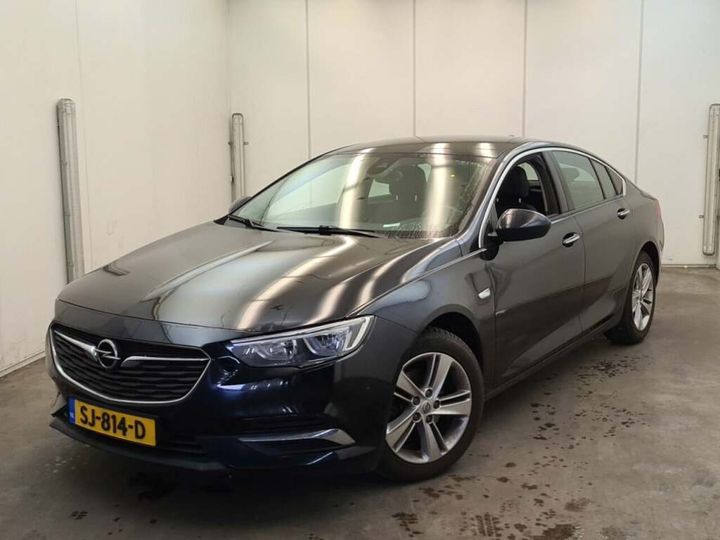 OPEL INSIGNIA 2018 w0vzt6ge6j1130708