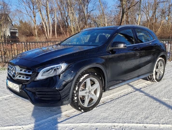 MERCEDES-BENZ NULL 2019 w1n1569421u030461