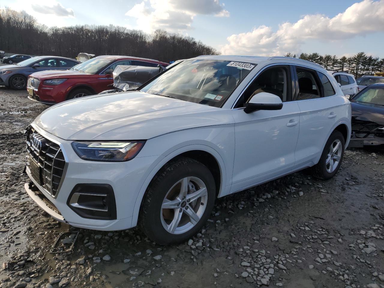 AUDI Q5 2023 wa1abafy7p2163514