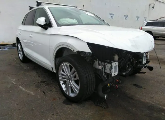 AUDI Q5 2019 wa1anafy2k2071971