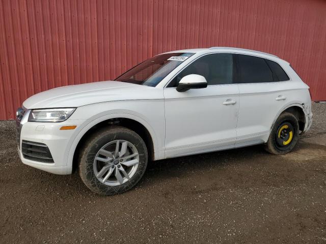 AUDI Q5 2019 wa1anafy4k2032072