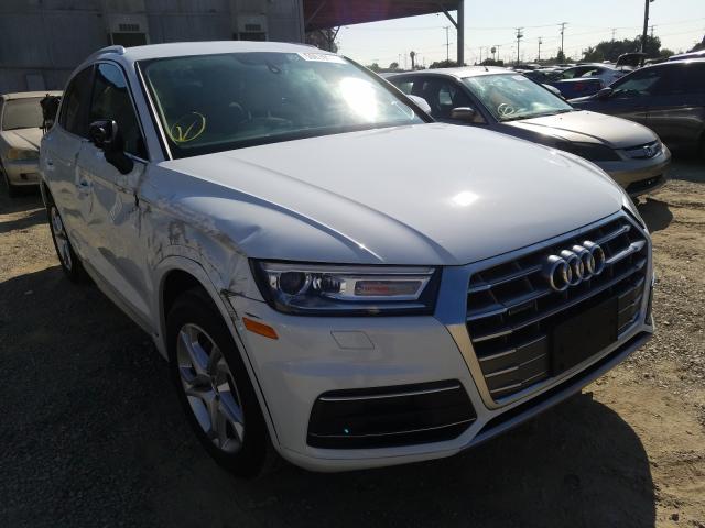 AUDI Q5 PREMIUM 2019 wa1anafy5k2127689