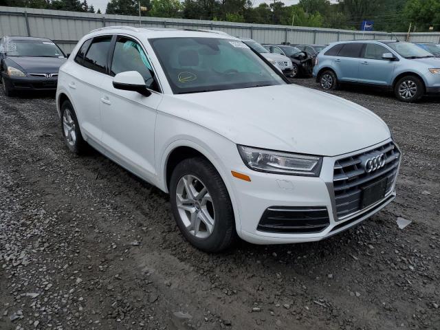 AUDI Q5 PREMIUM 2019 wa1anafy7k2066605