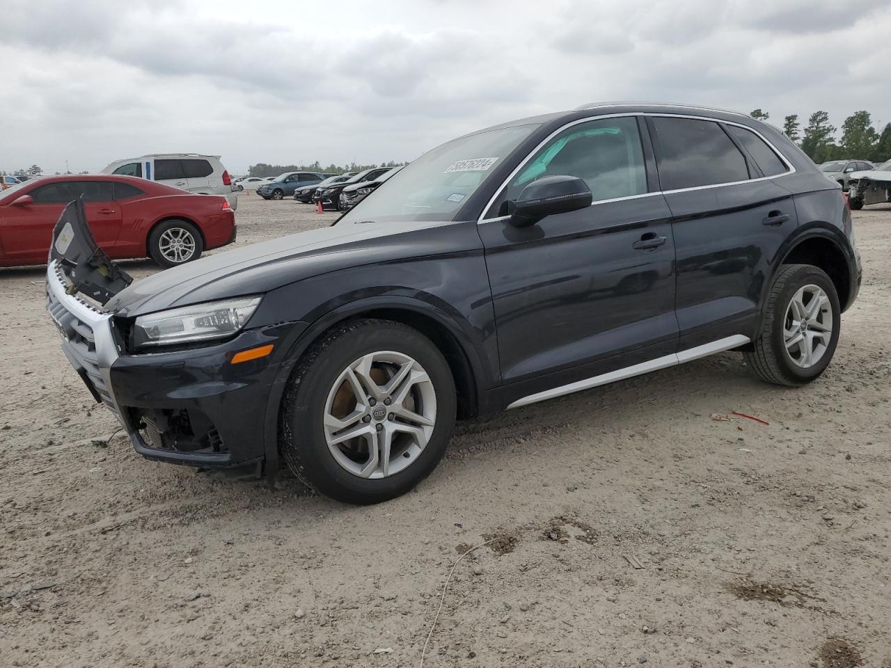 AUDI Q5 2019 wa1anafy9k2117439