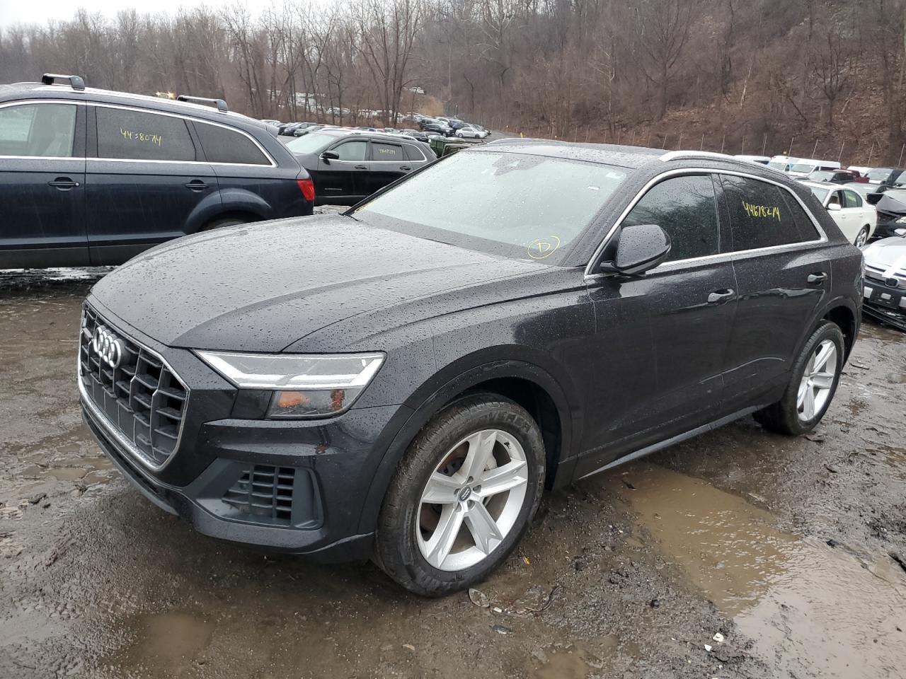 AUDI Q8 2019 wa1avaf12kd022664