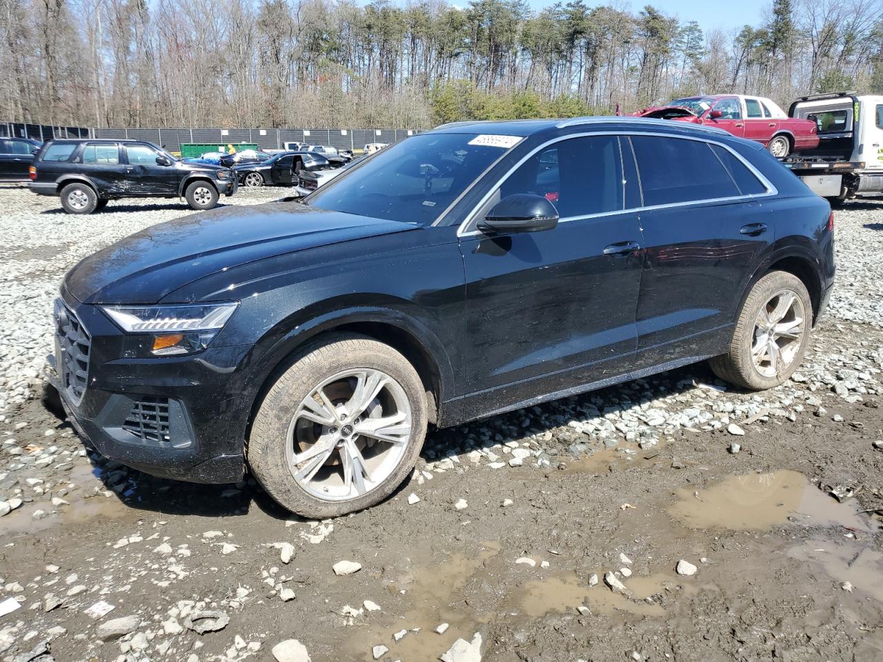 AUDI Q8 2023 wa1avbf16pd011776