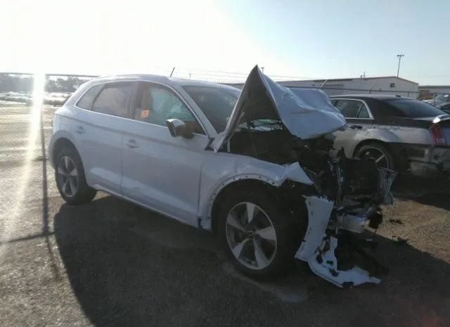 AUDI Q5 2023 wa1bbafy7p2056130