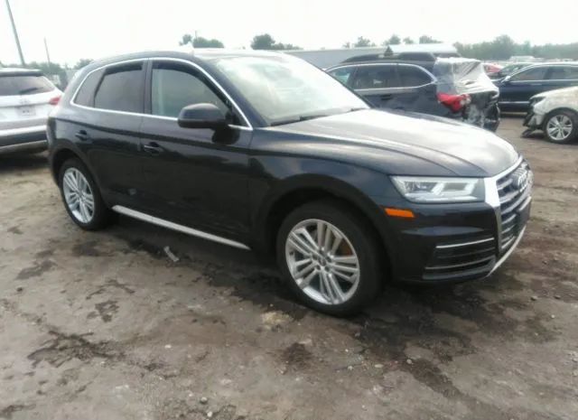 AUDI Q5 2019 wa1bnafy0k2022594