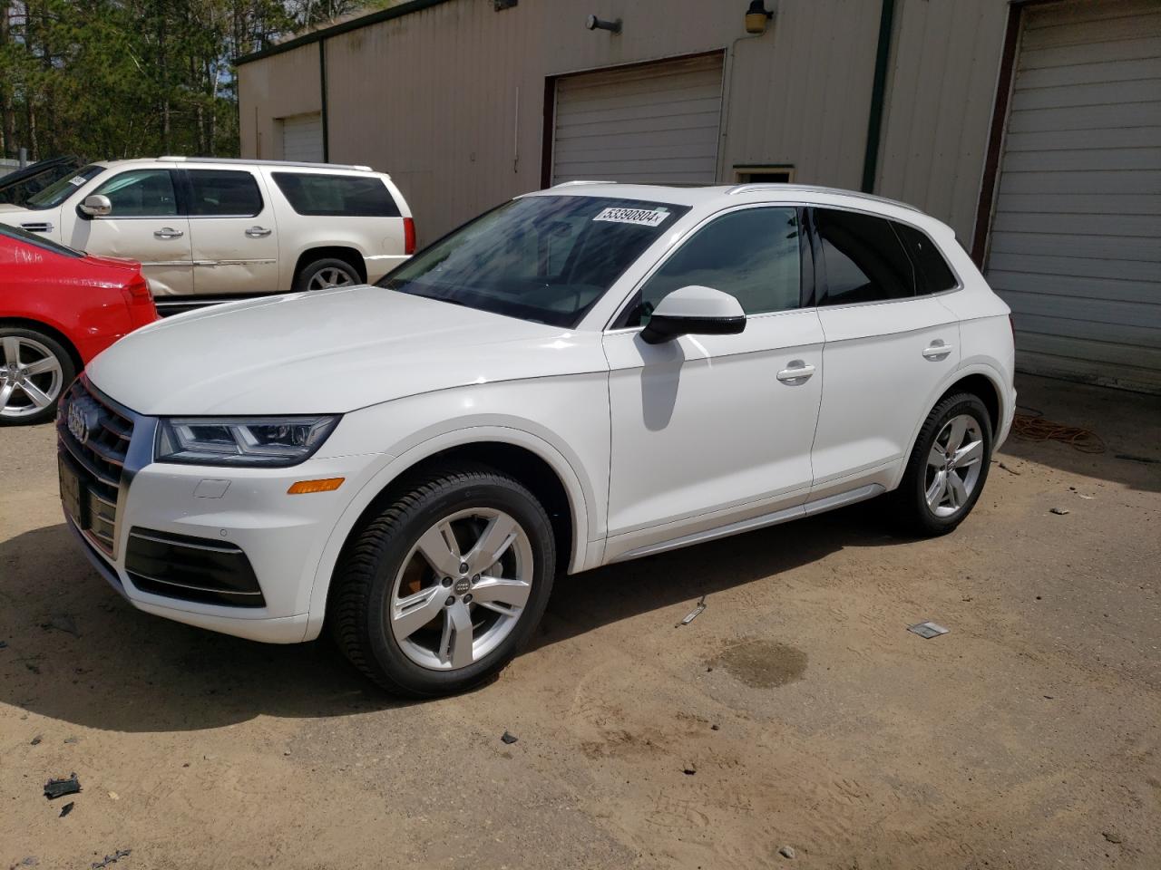 AUDI Q5 2019 wa1bnafy1k2099720