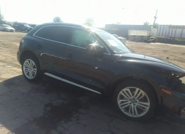 AUDI Q5 2019 wa1bnafy2k2075300