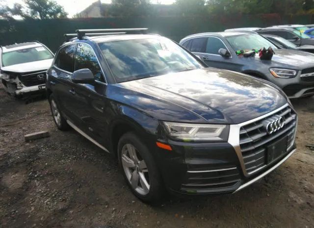 AUDI Q5 2019 wa1bnafy3k2126691