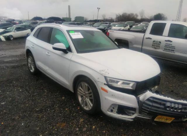 AUDI Q5 2019 wa1bnafy3k2128649