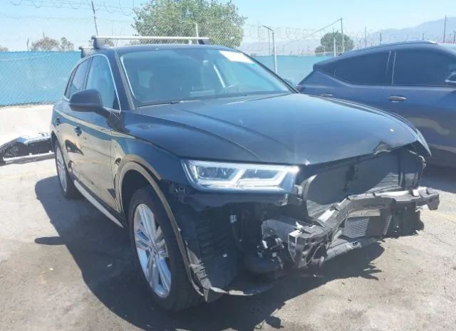 AUDI Q5 2019 wa1bnafy3k2139067