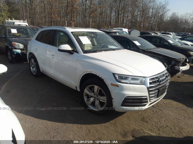 AUDI Q5 2019 wa1bnafy4k2039382