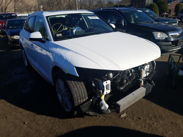 AUDI Q5 PREMIUM 2019 wa1bnafy4k2047756