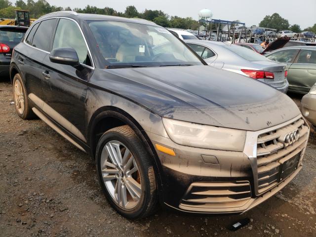 AUDI Q5 PREMIUM 2019 wa1bnafy4k2088811