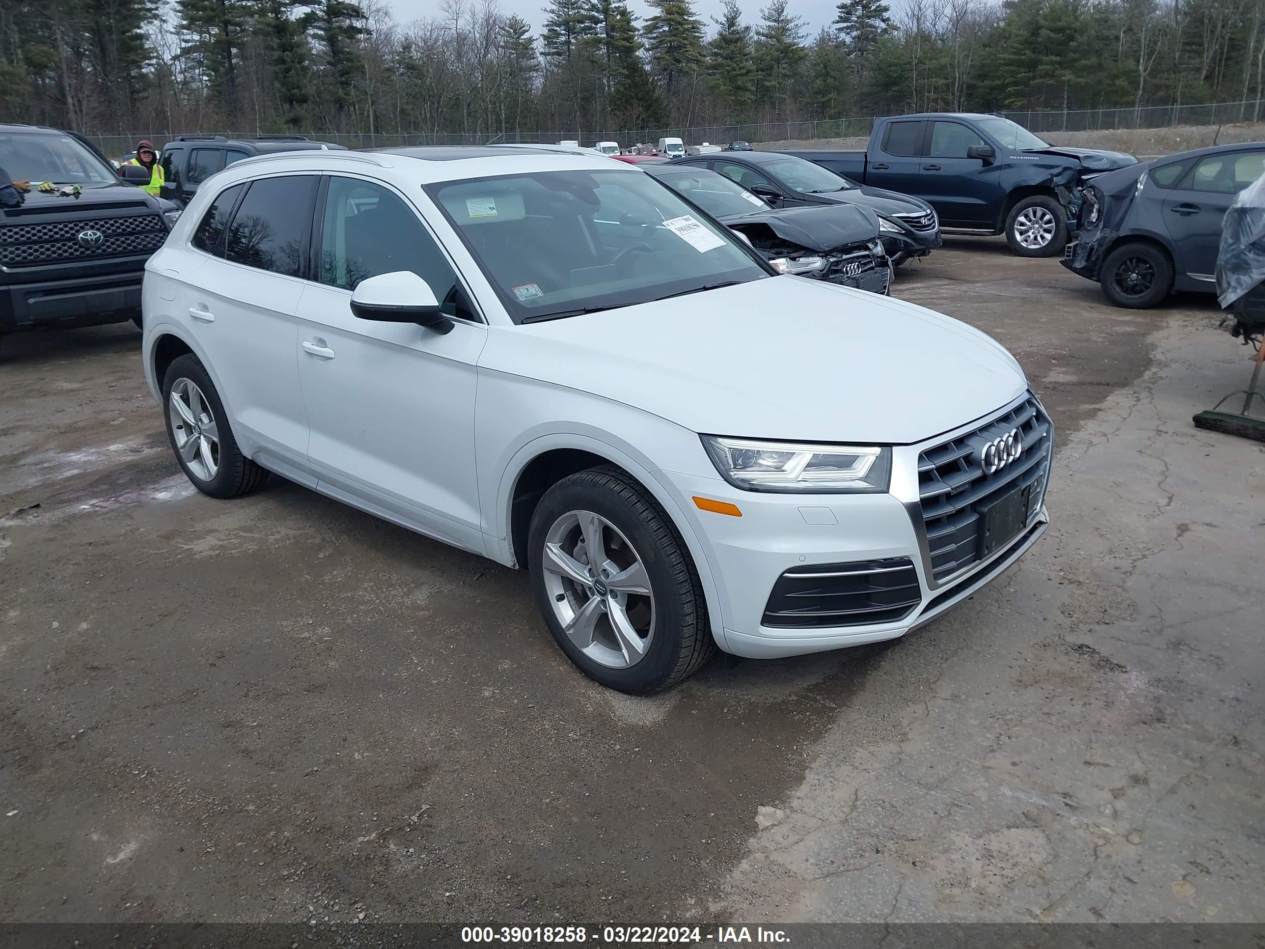 AUDI Q5 2020 wa1bnafy4l2034751