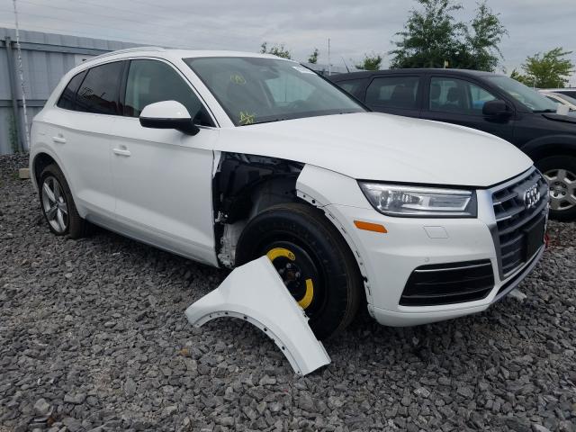 AUDI Q5 PREMIUM 2019 wa1bnafy5k2075890