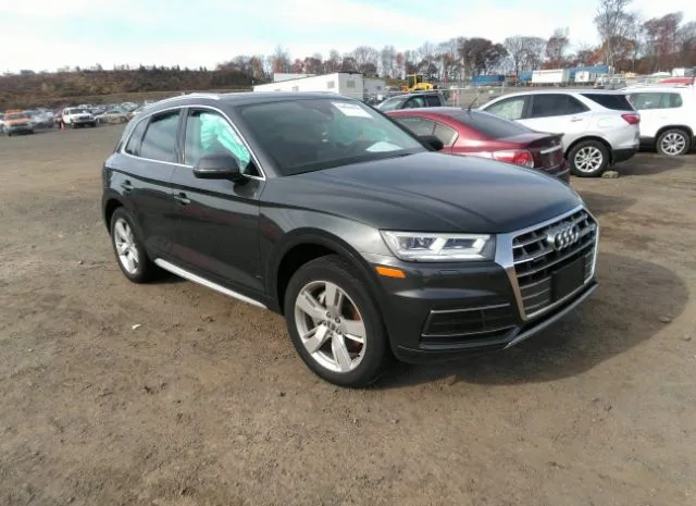 AUDI Q5 2019 wa1bnafy6k2069550