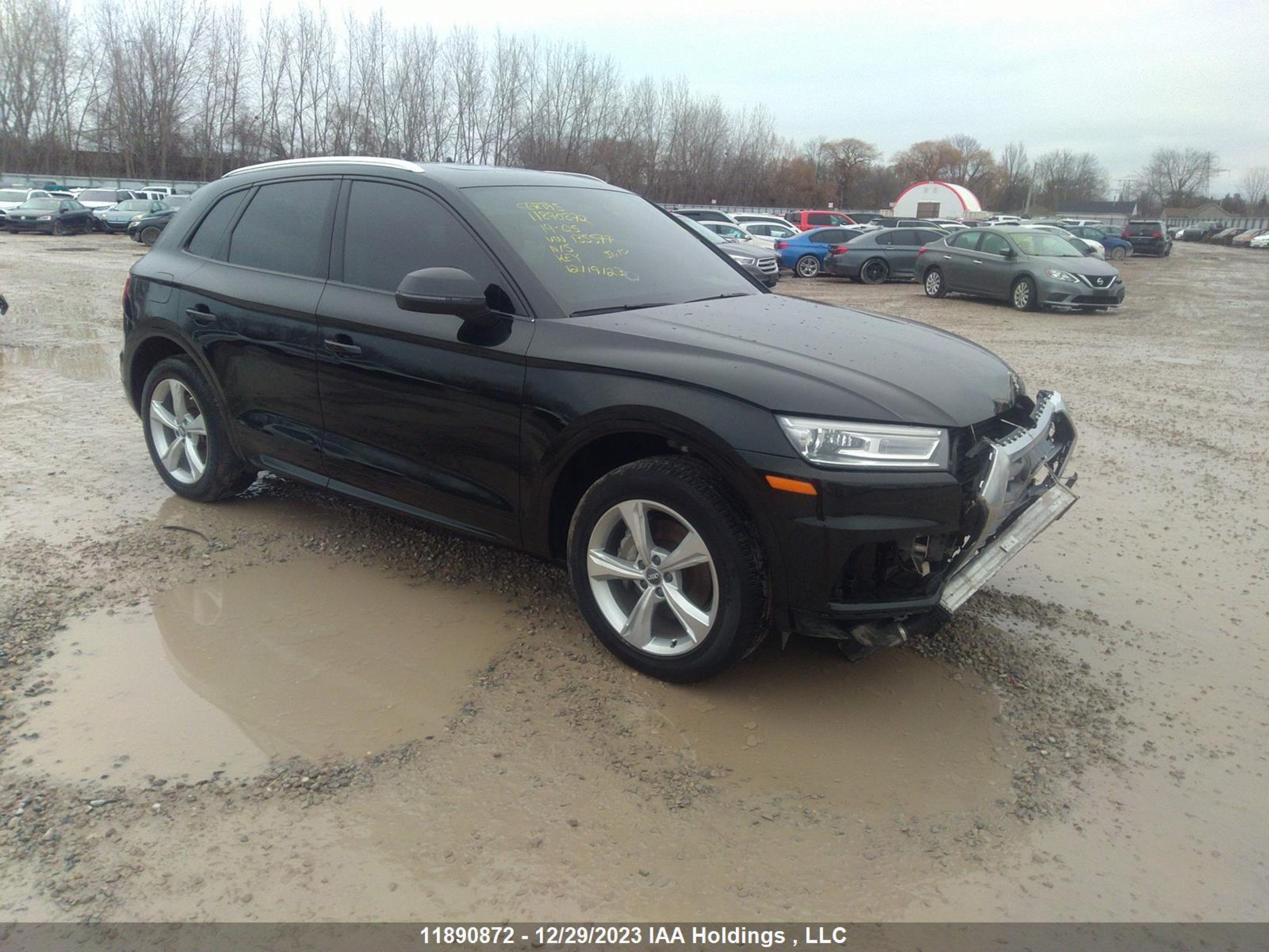 AUDI Q5 2019 wa1bnafy6k2135577