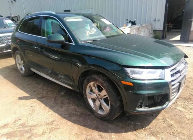 AUDI Q5 2019 wa1bnafy7k2045449