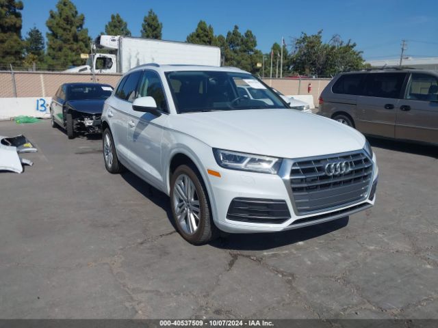 AUDI Q5 2019 wa1bnafy7k2099365