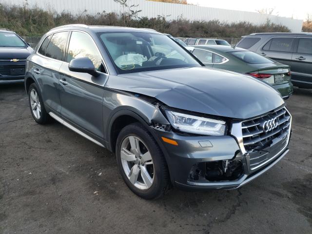 AUDI Q5 PREMIUM 2019 wa1bnafy8k2037862