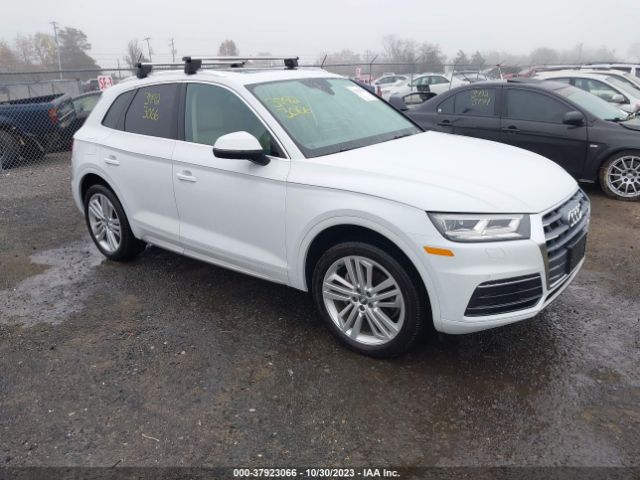 AUDI Q5 2019 wa1bnafy9k2022092