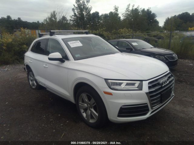 AUDI Q5 2019 wa1bnafy9k2081269