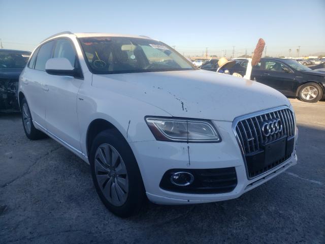 AUDI NULL 2013 wa1c8afp2da009521