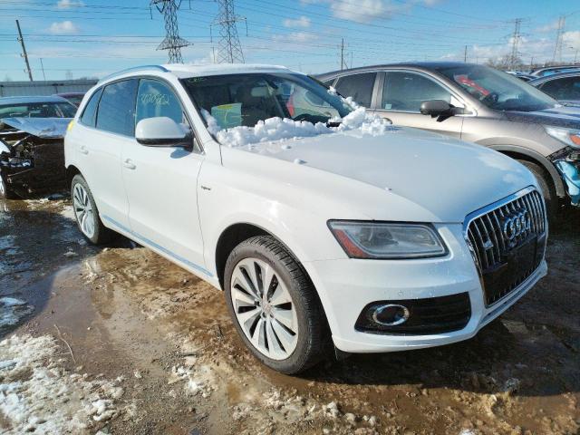 AUDI NULL 2013 wa1c8afp3da080209