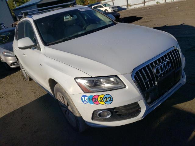 AUDI Q5 PREMIUM 2013 wa1c8afp5da039516