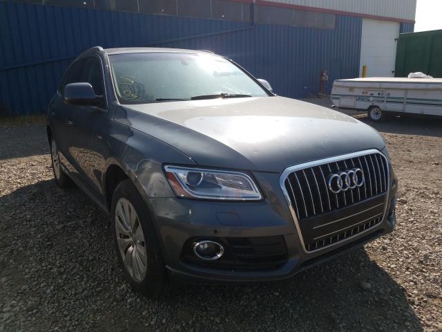 AUDI Q5 PREMIUM 2013 wa1c8cfpxda003770