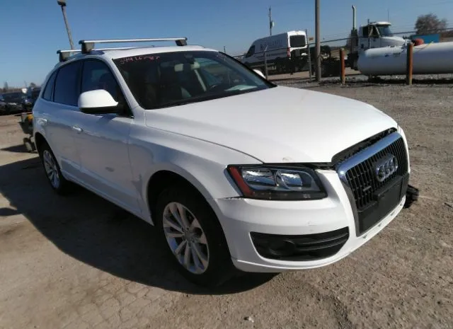 AUDI Q5 2011 wa1cfafp7ba058006