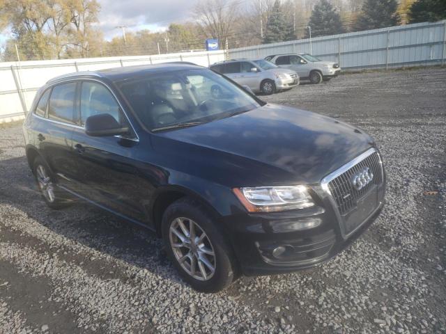 AUDI Q5 2010 wa1cfafpxba034413