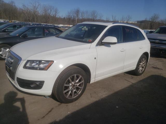 AUDI Q5 2011 wa1cfafpxca049544