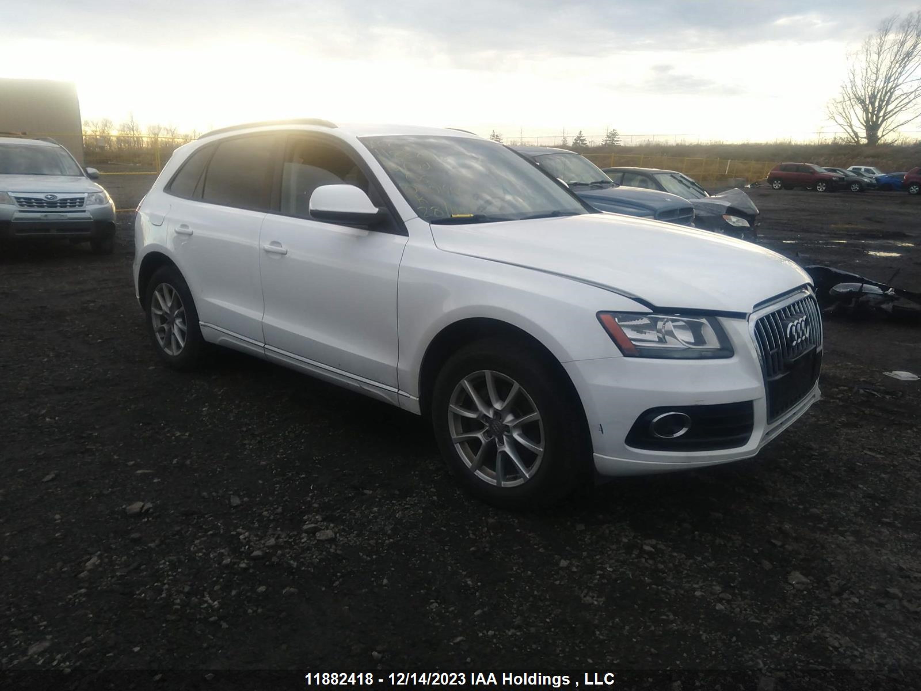 AUDI Q5 2014 wa1cfcfp1ea040164