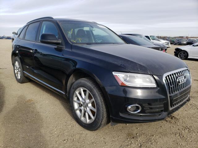 AUDI NULL 2013 wa1cfcfp3da005723