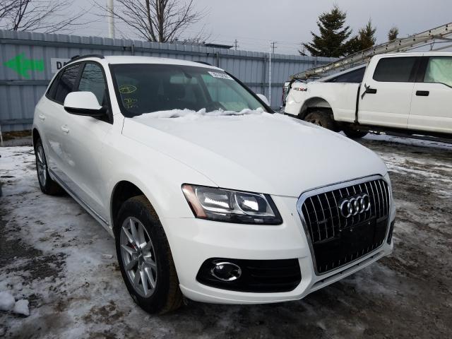 AUDI NULL 2014 wa1cfcfp7ea080460