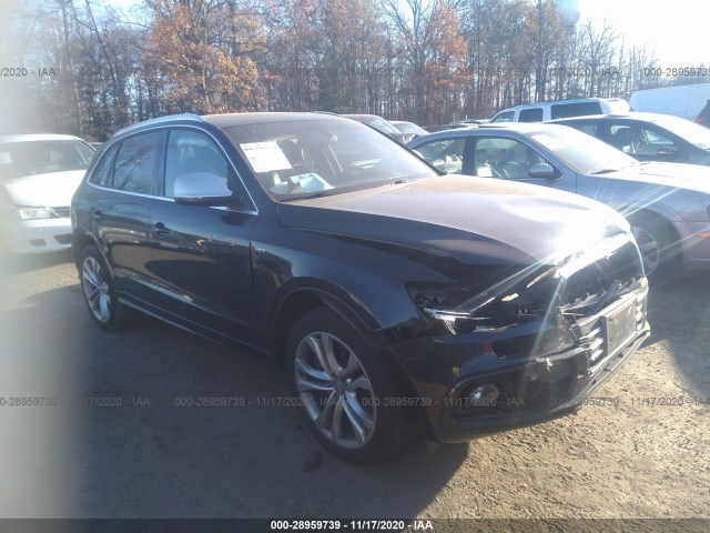 AUDI SQ5 2014 wa1cgafp2ea045925