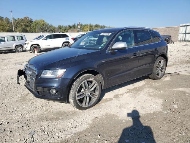 AUDI SQ5 PREMIU 2015 wa1cgafp5fa025248